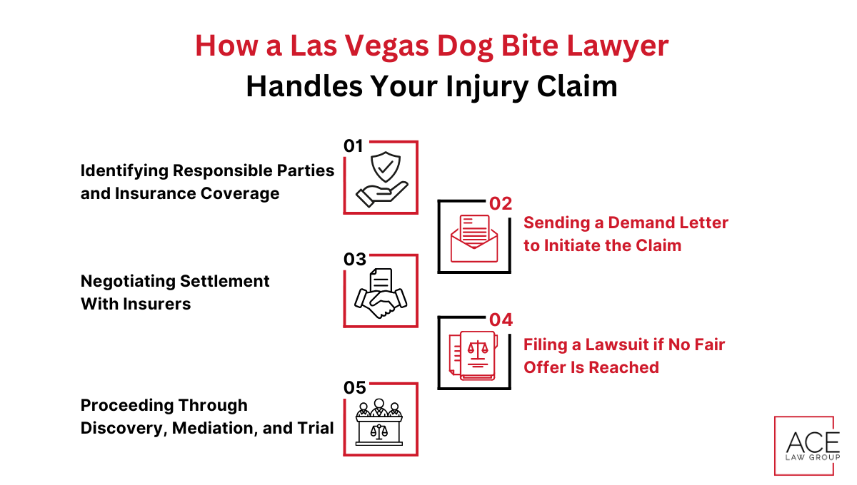 Las Vegas dog bite lawyer handling an injury claim