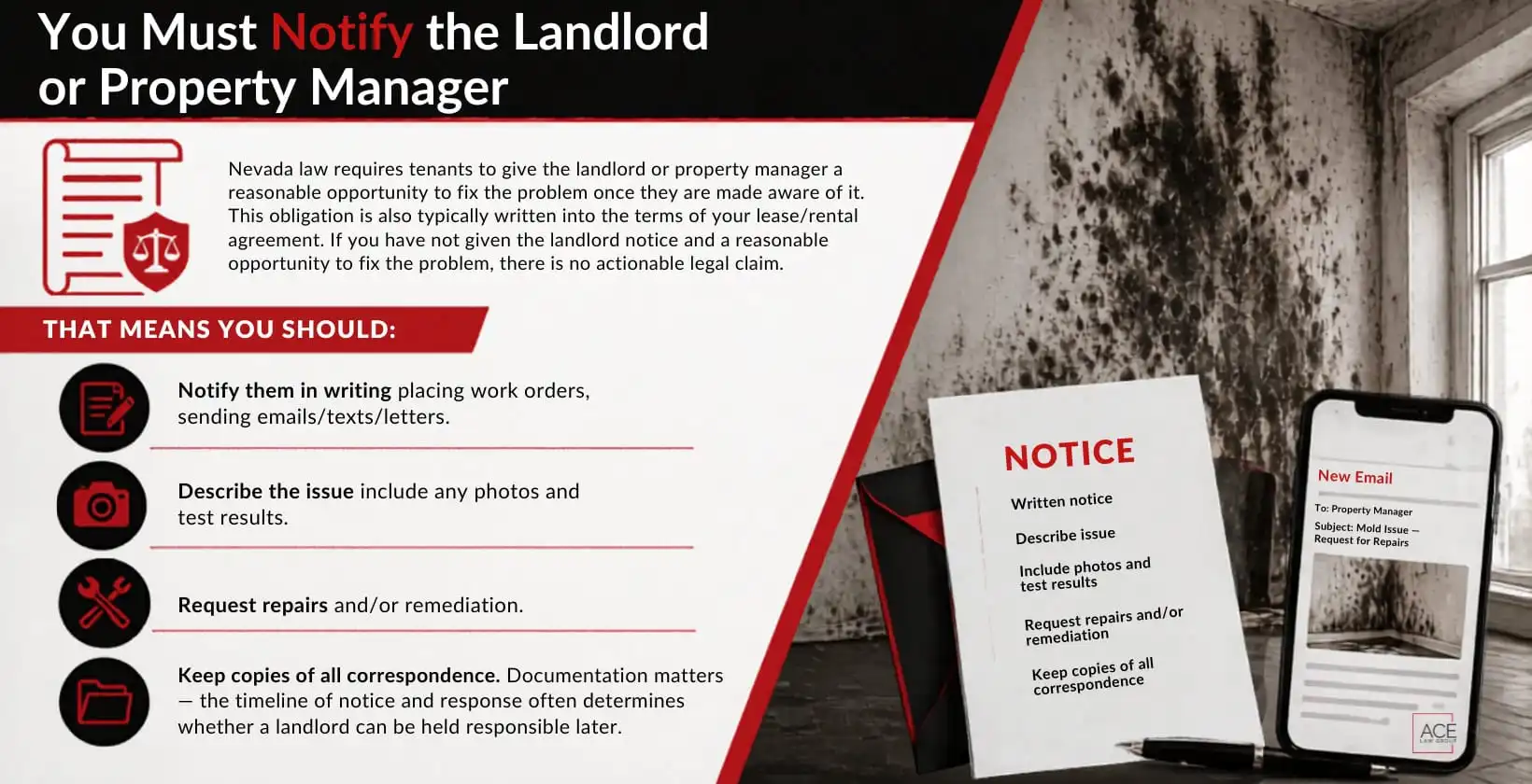 things you must notify the landlord or property manager for fixing mold issues